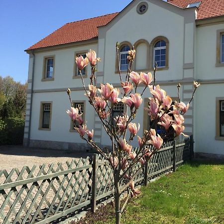 Stara Szkola Debowy Gaj The Old School Debowy Gaj Panzió Lwowek Slaski Kültér fotó